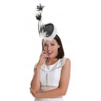 Black and White Double Heart Pillbox Feathers WS1609